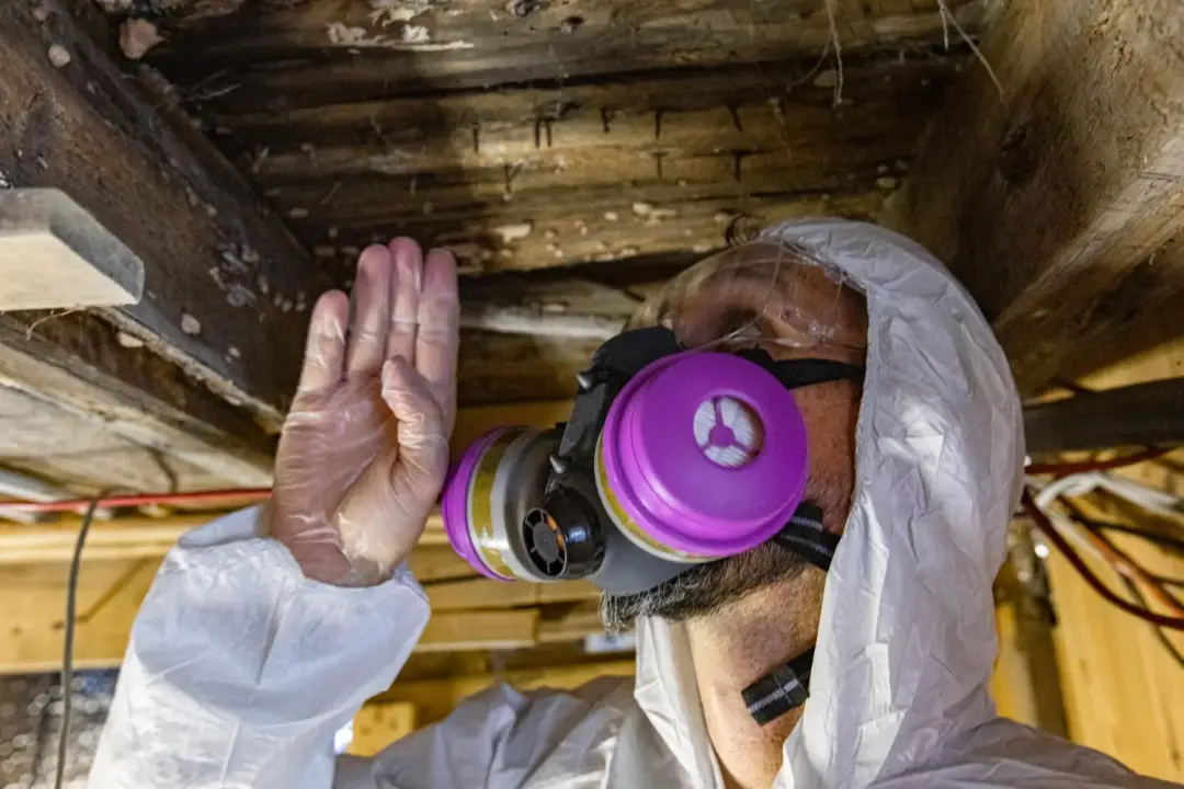 Book Your Asbestos Control Service Amesbury
